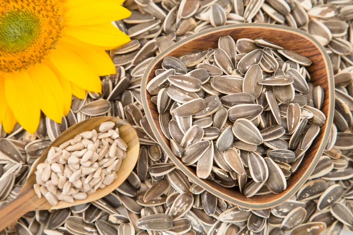 Benefits Of Sunflower Seeds For Health